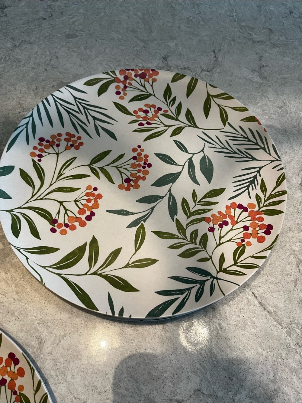 Outdoor Dinner Plate - Green and Orange Set of 8 - heavy duty acrylic